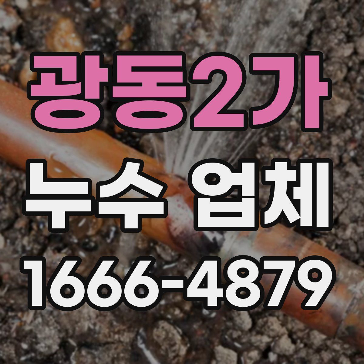 광동2가 누수 업체