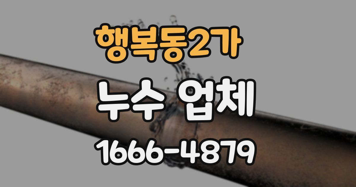 행복동2가 누수 업체