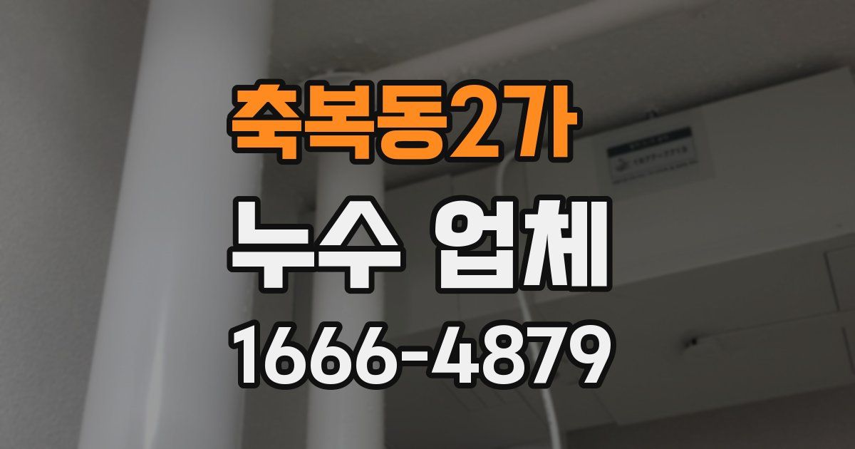 축복동2가 누수 업체