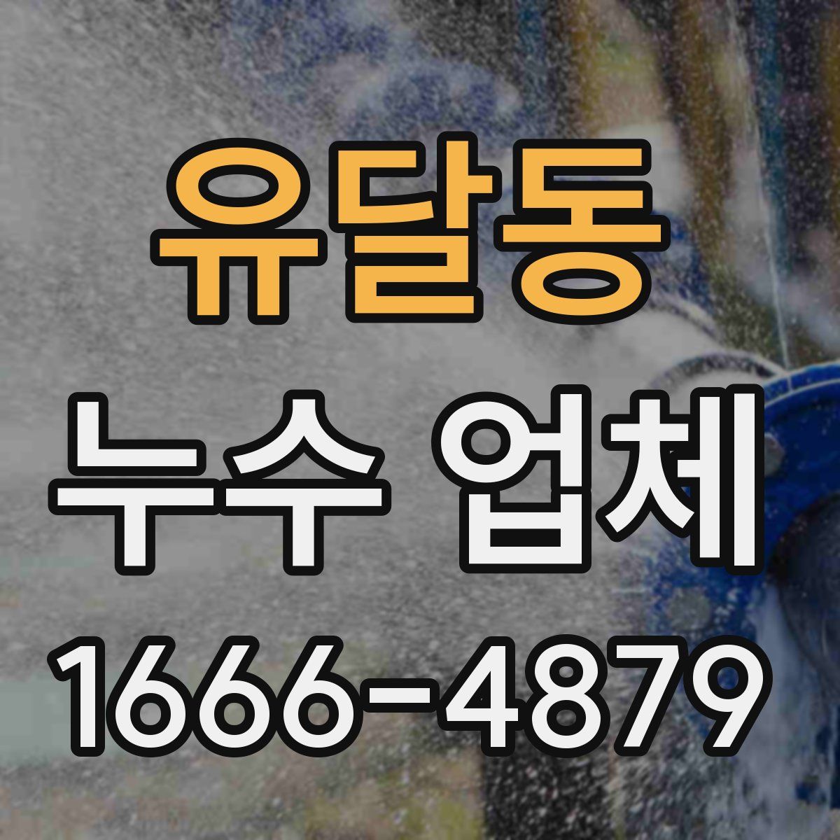유달동 누수 업체
