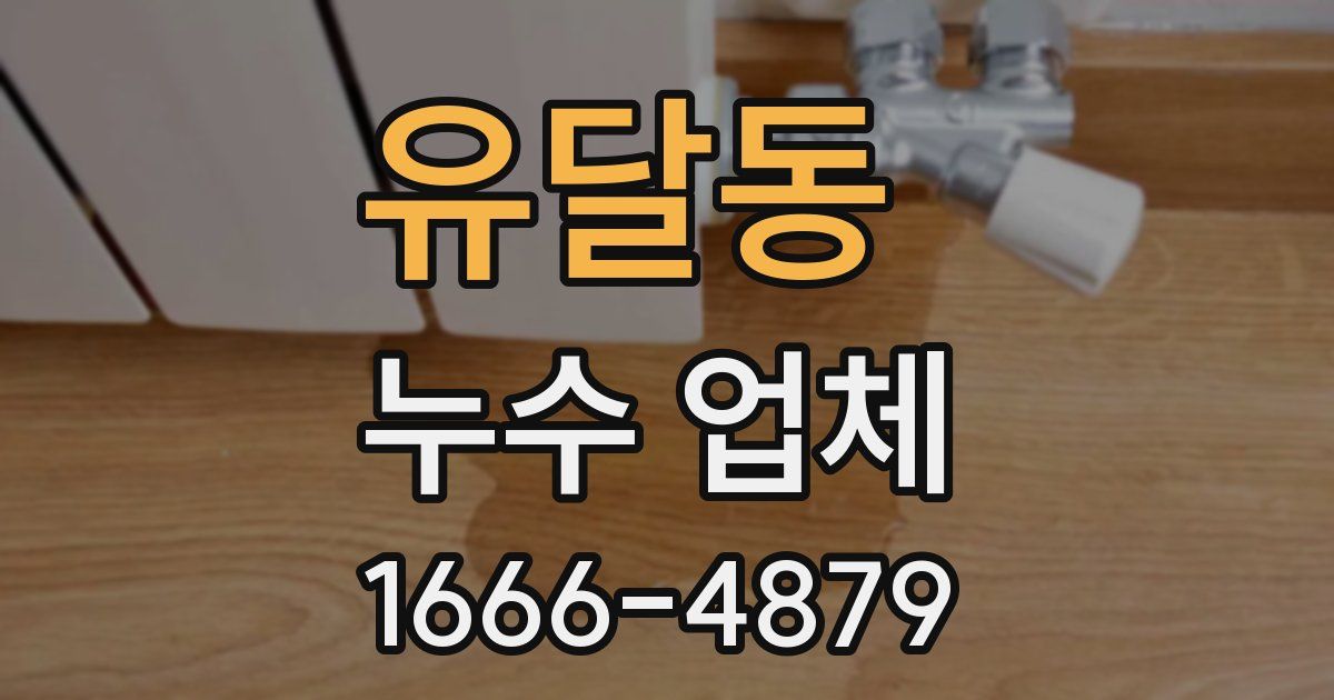 유달동 누수 업체