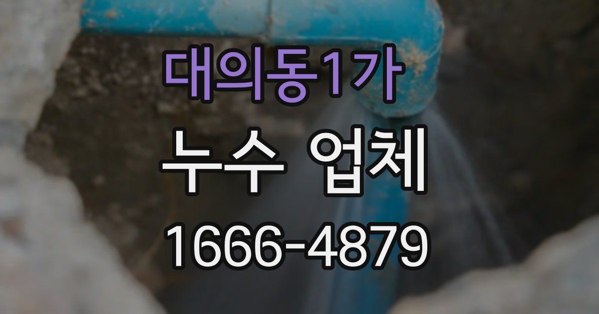 대의동1가 누수 업체