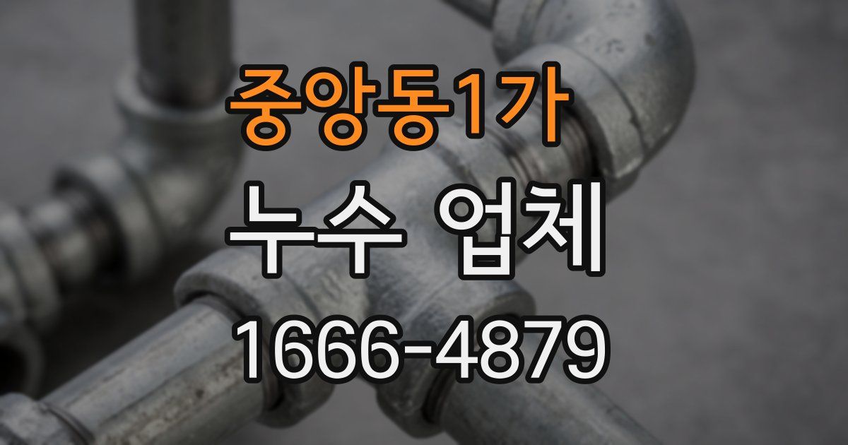 중앙동1가 누수 업체