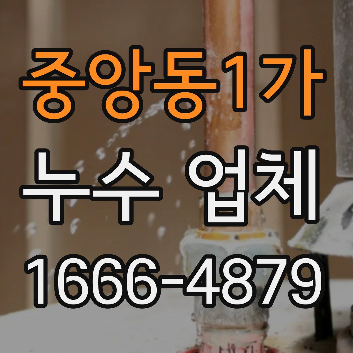 중앙동1가 누수 업체