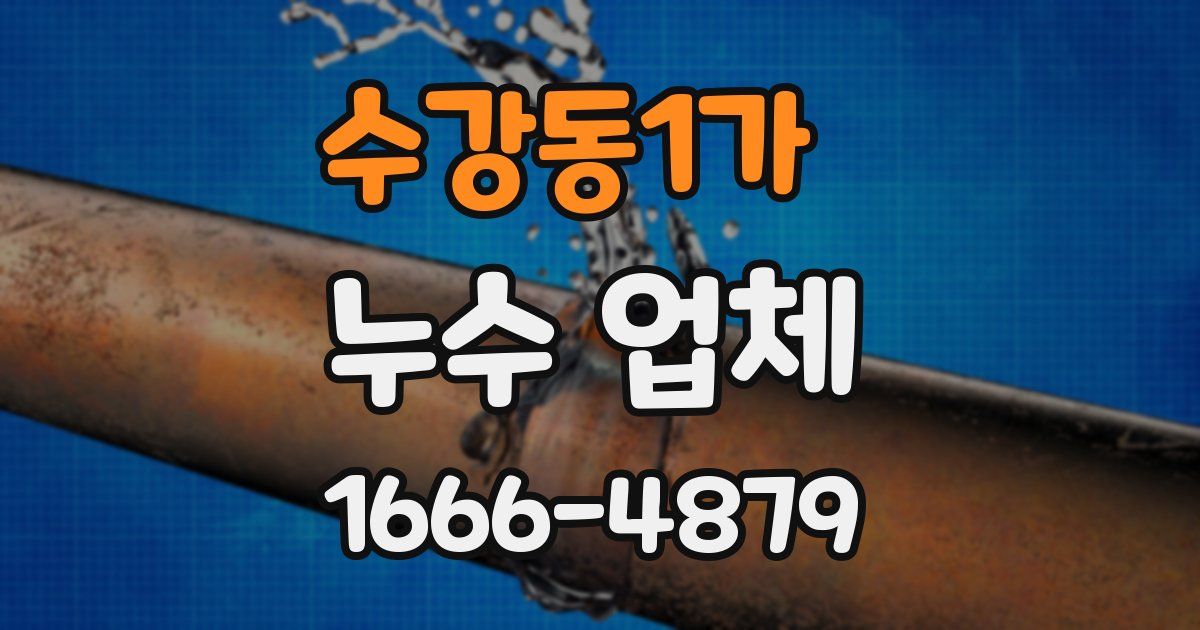 수강동1가 누수 업체