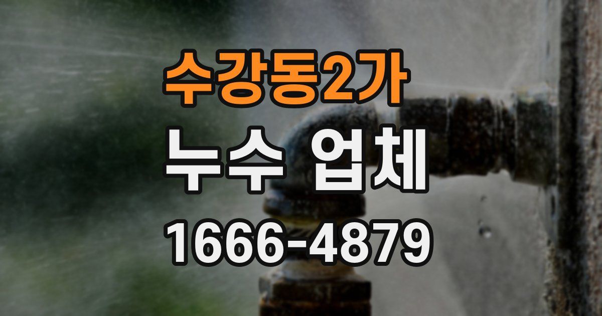 수강동2가 누수 업체
