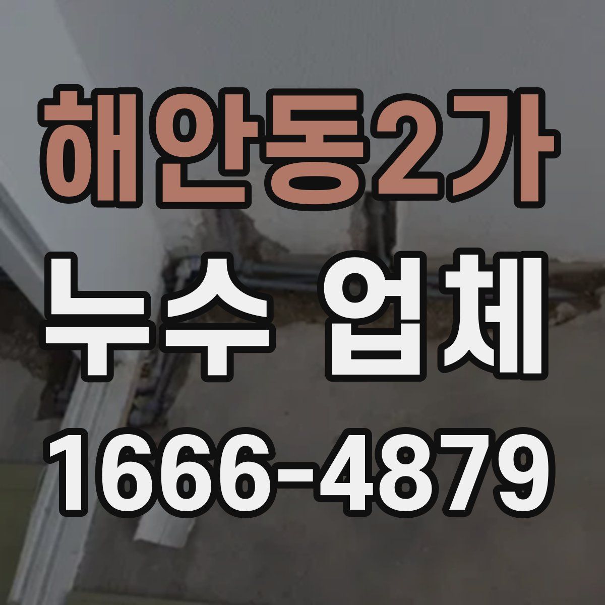 해안동2가 누수 업체