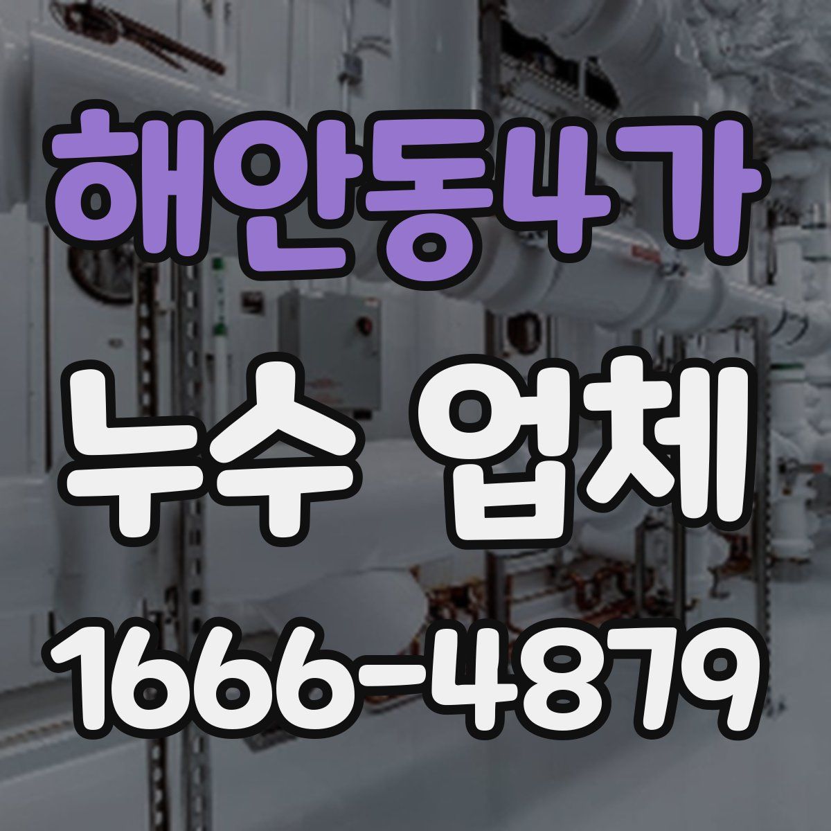 해안동4가 누수 업체