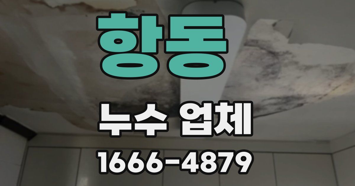 항동 누수 업체