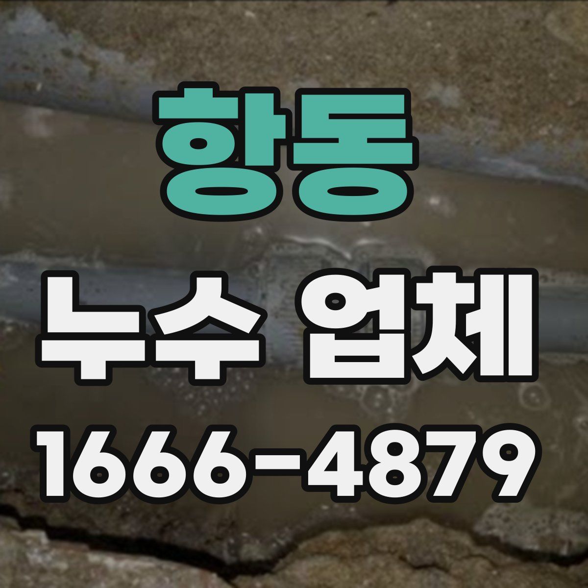 항동 누수 업체