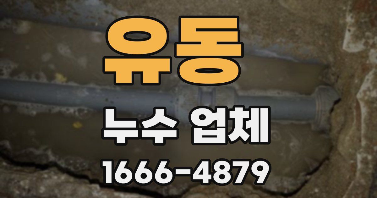 유동 누수 업체