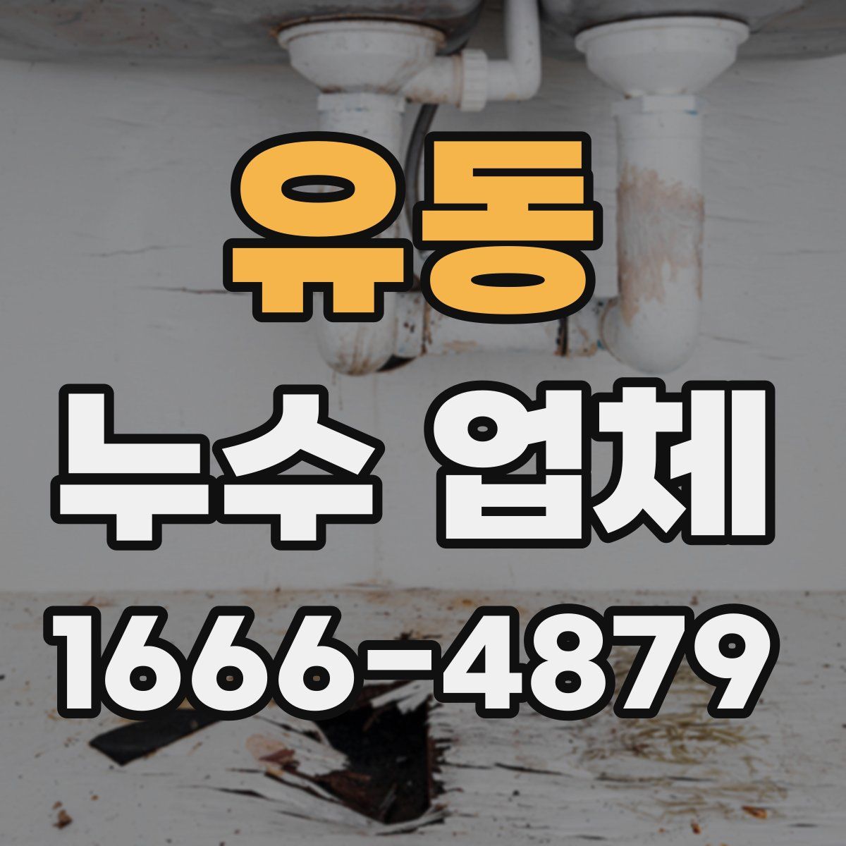 유동 누수 업체