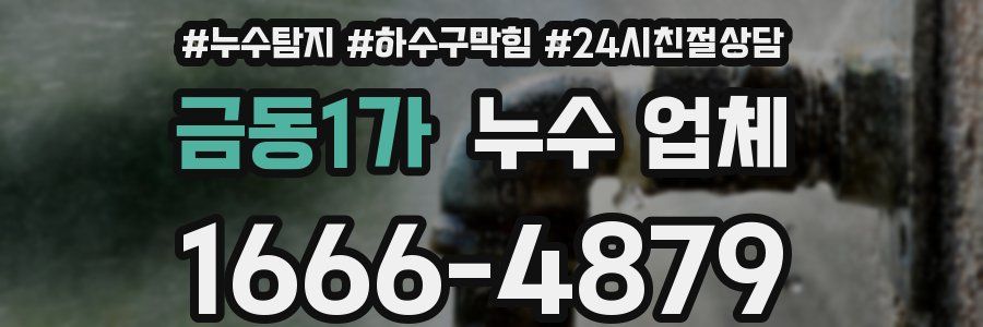 금동1가 누수 업체