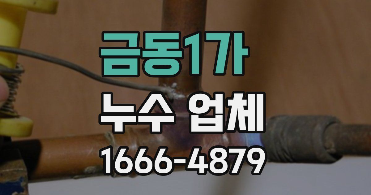 금동1가 누수 업체