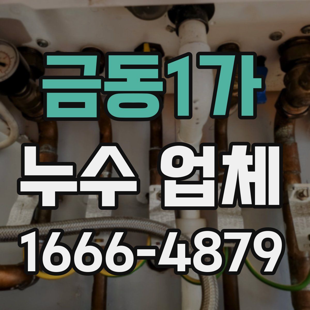 금동1가 누수 업체