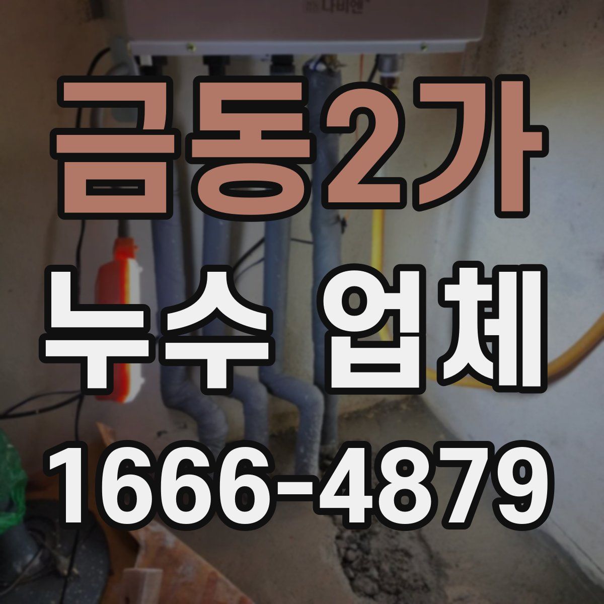 금동2가 누수 업체