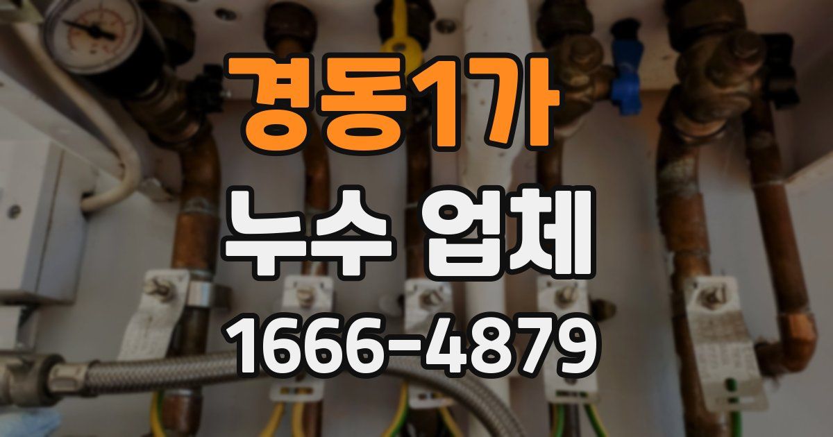 경동1가 누수 업체