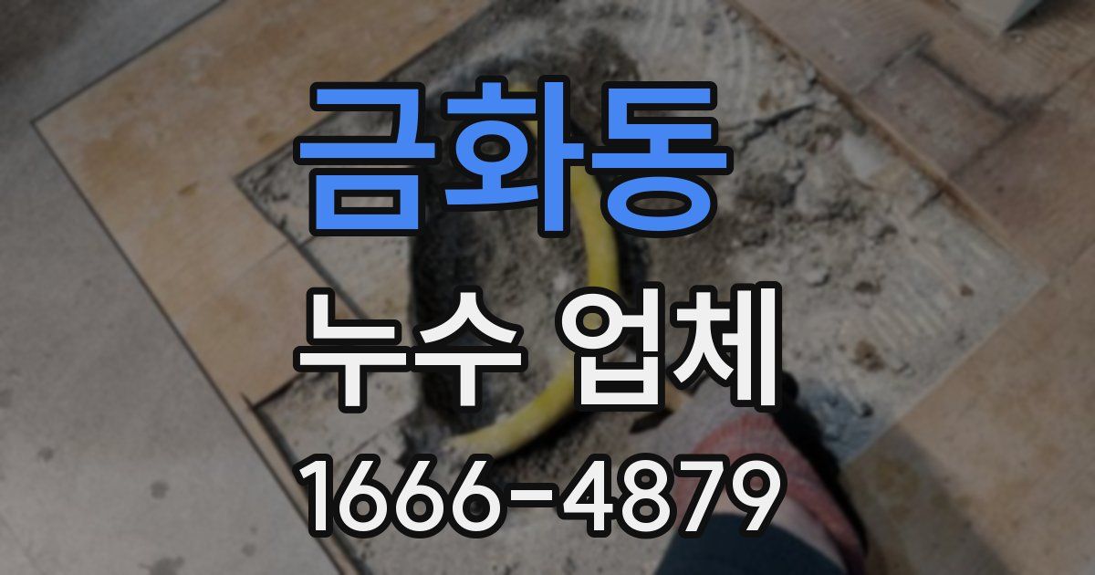 금화동 누수 업체