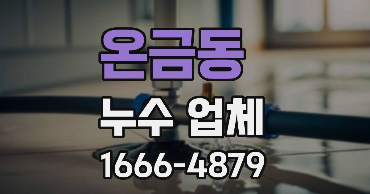 온금동 누수 업체