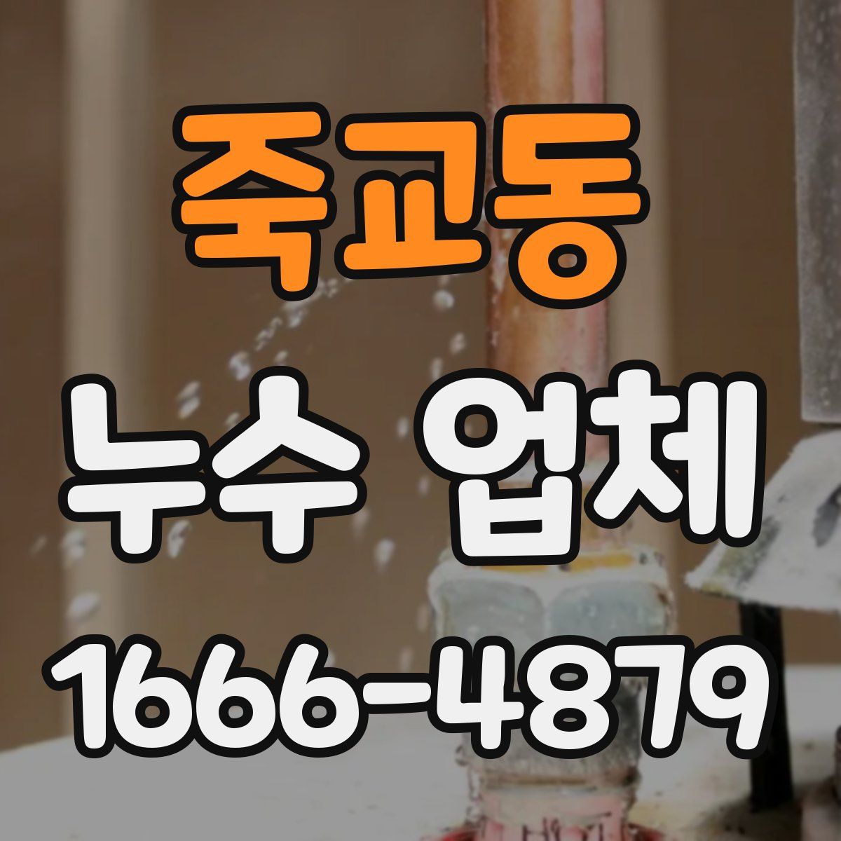 죽교동 누수 업체