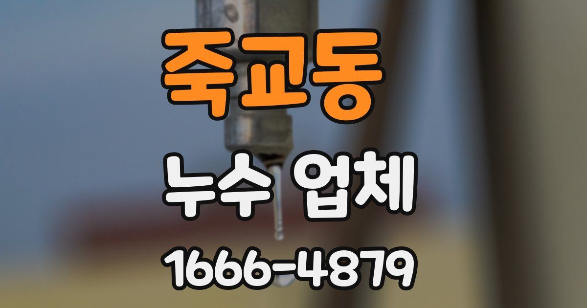죽교동 누수 업체