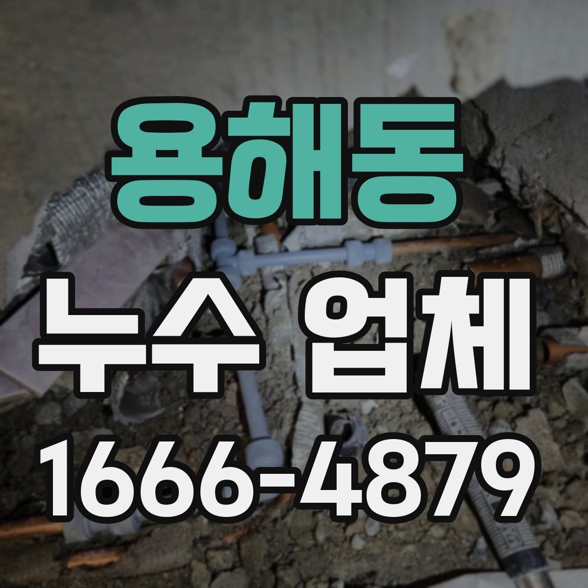 용해동 누수 업체