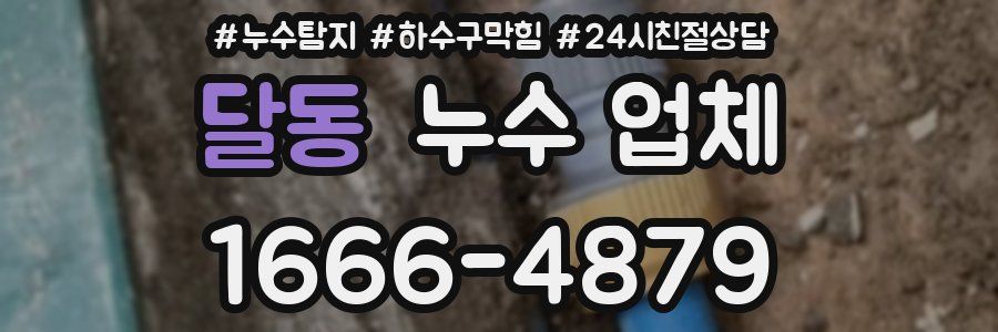 달동 누수 업체