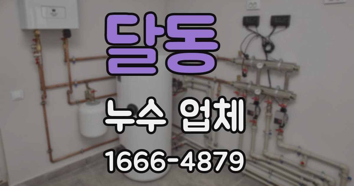 달동 누수 업체
