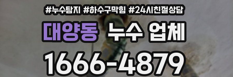 대양동 누수 업체
