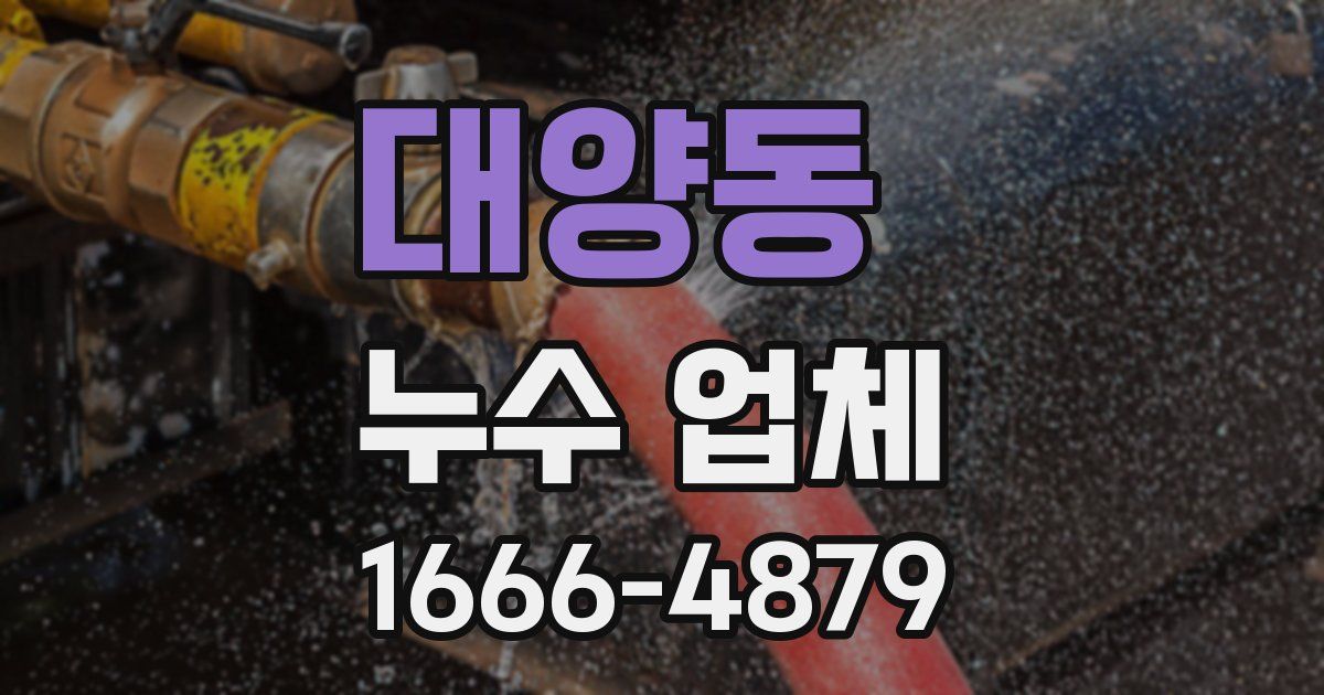 대양동 누수 업체