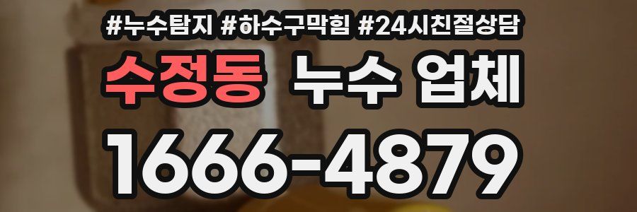 수정동 누수 업체