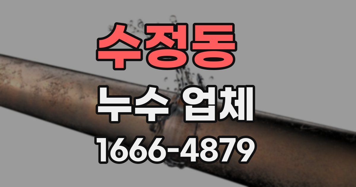 수정동 누수 업체