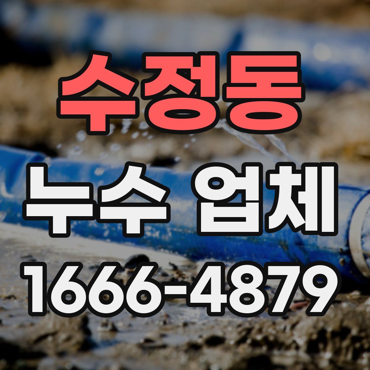 수정동 누수 업체