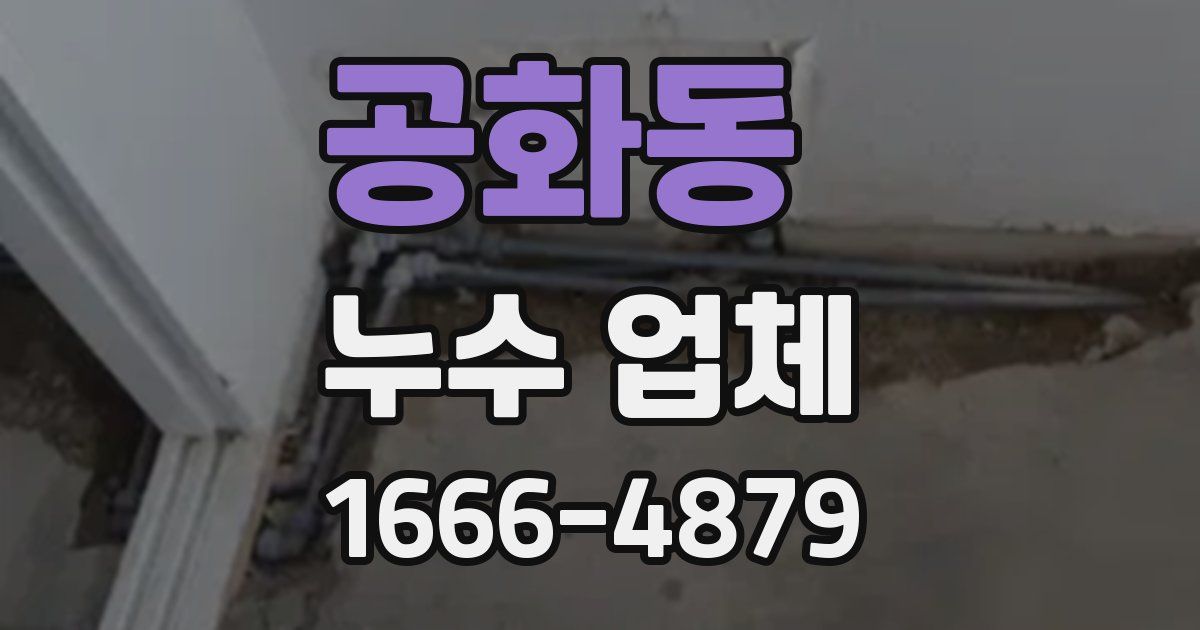 공화동 누수 업체