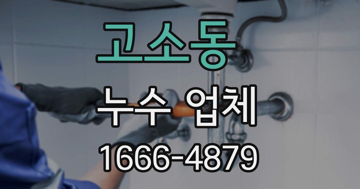 고소동 누수 업체