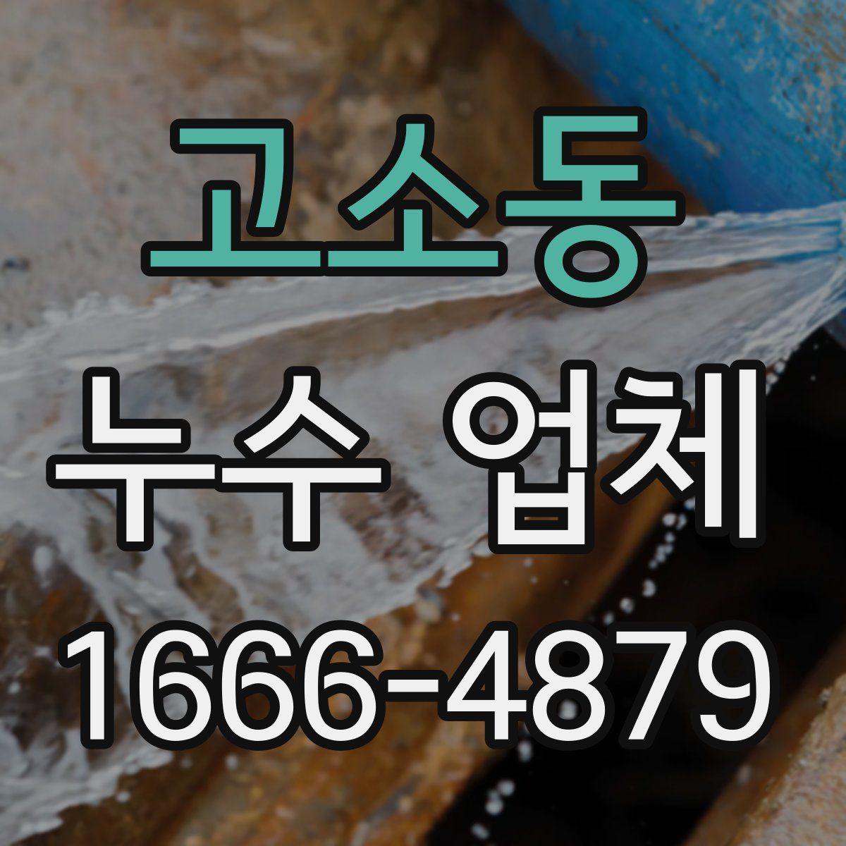 고소동 누수 업체