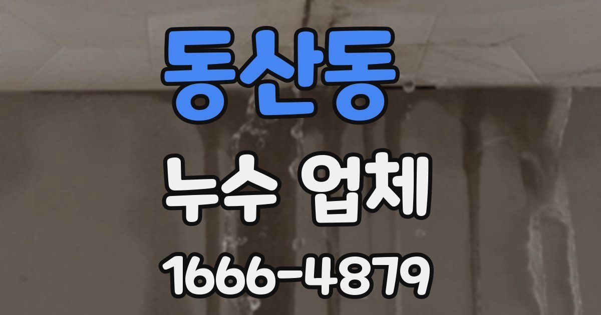 동산동 누수 업체