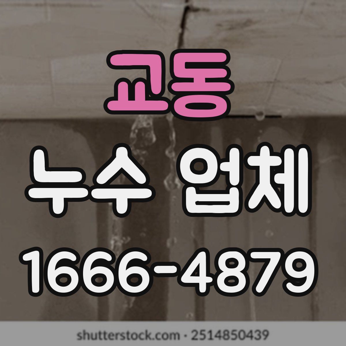 교동 누수 업체