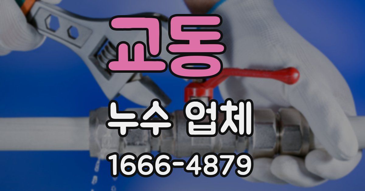 교동 누수 업체