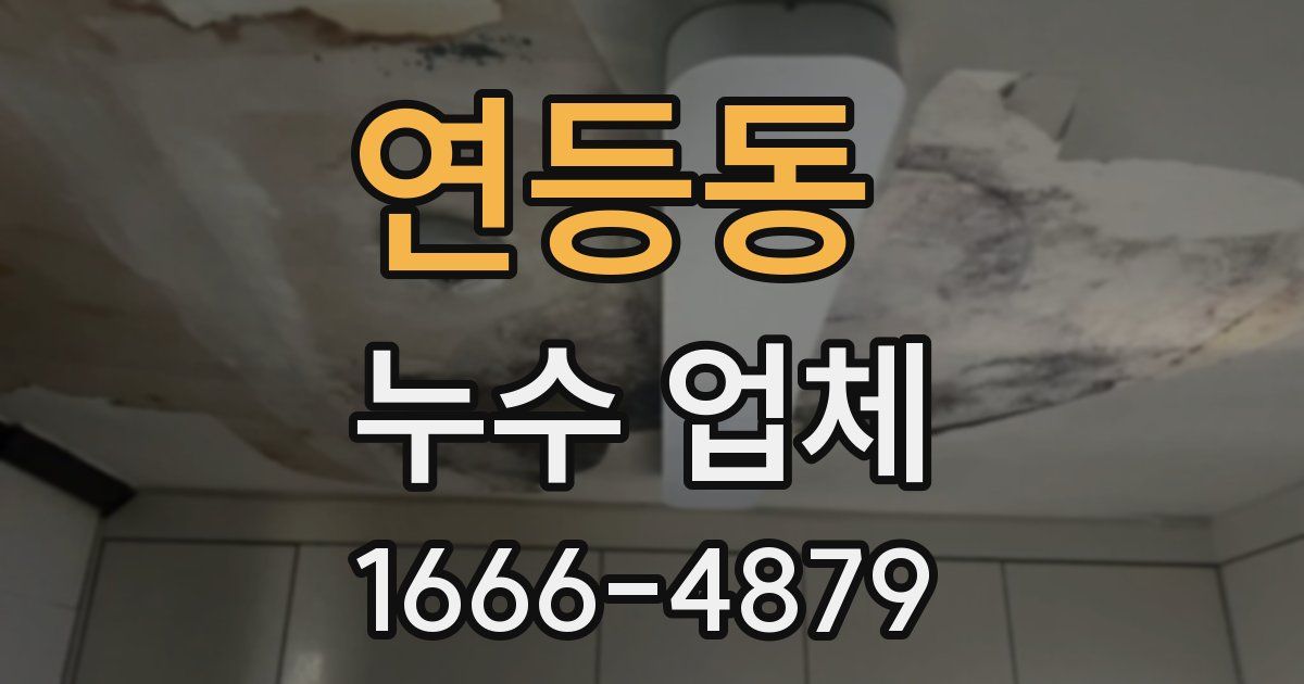 연등동 누수 업체