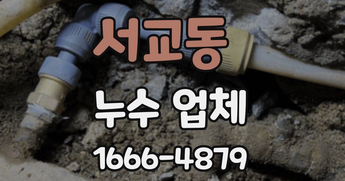 서교동 누수 업체