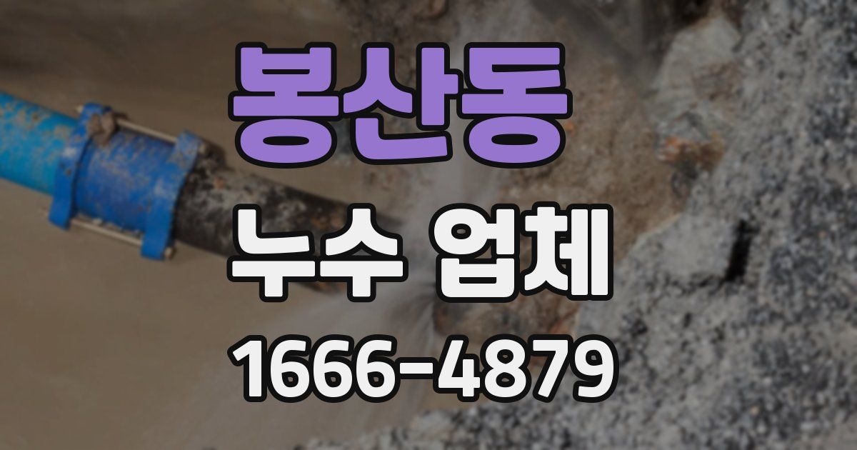 봉산동 누수 업체