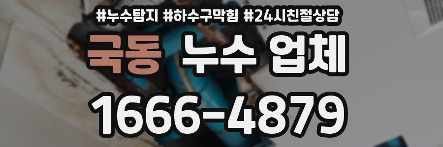 국동 누수 업체