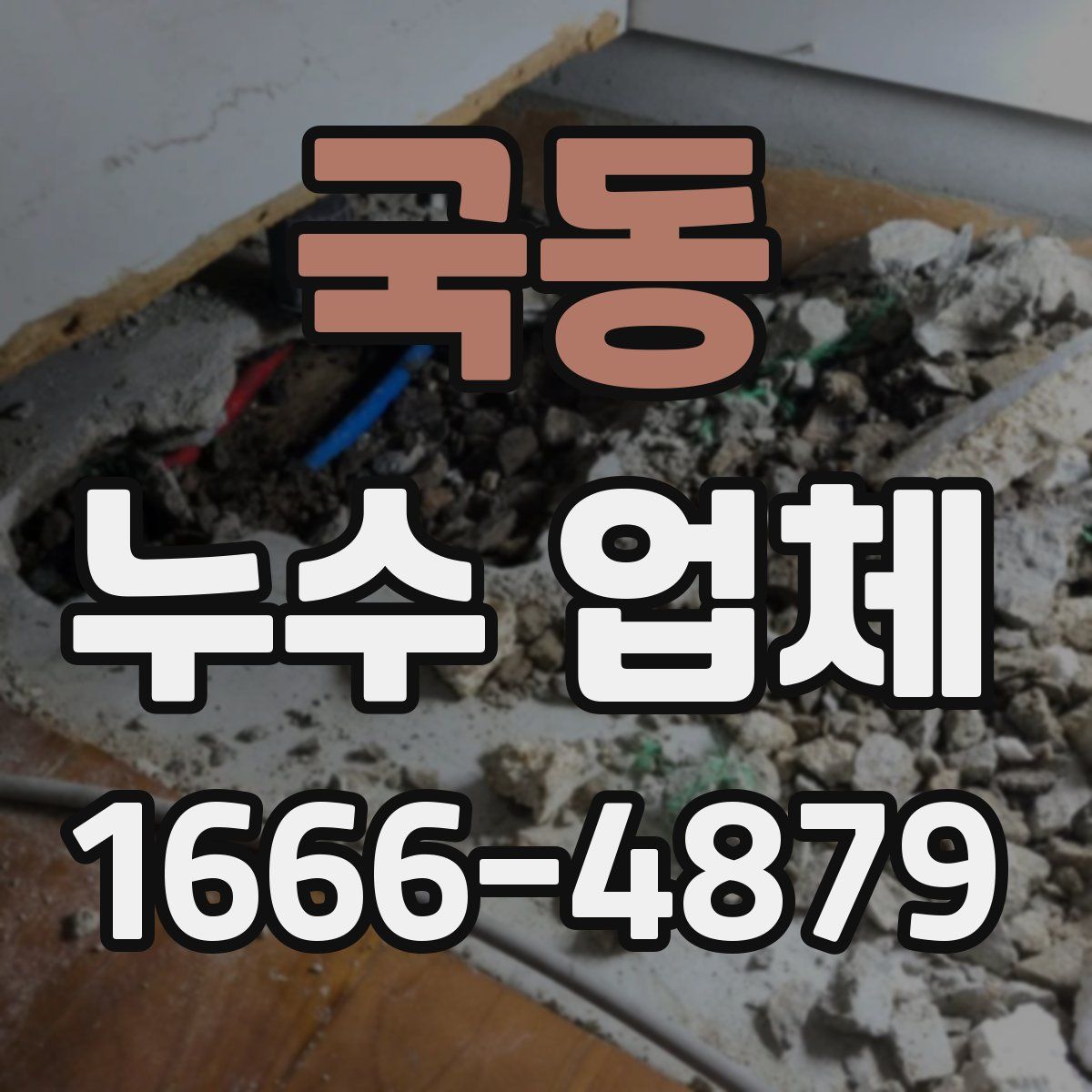 국동 누수 업체