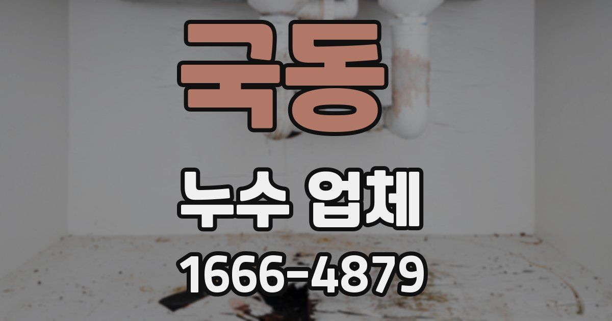 국동 누수 업체