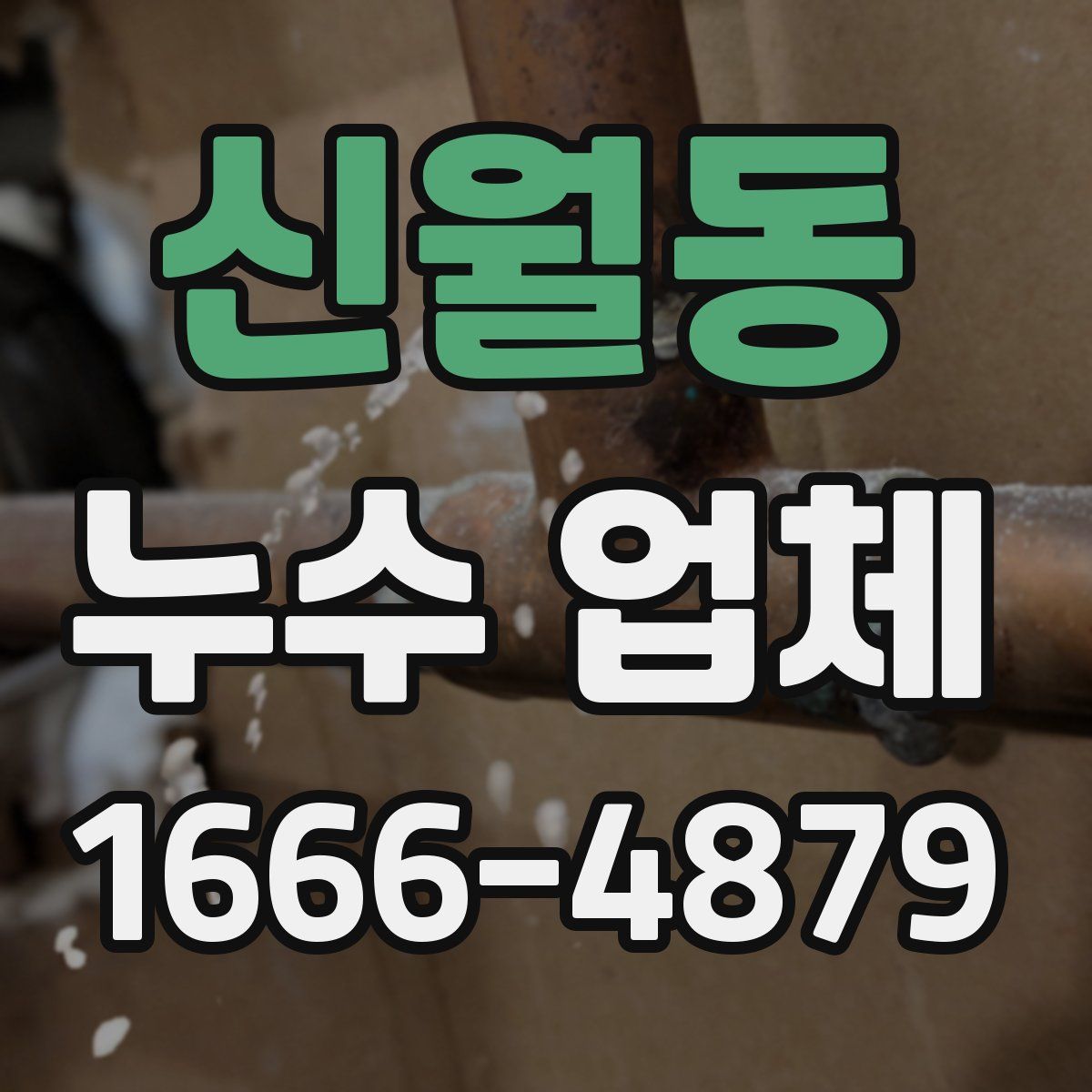 신월동 누수 업체