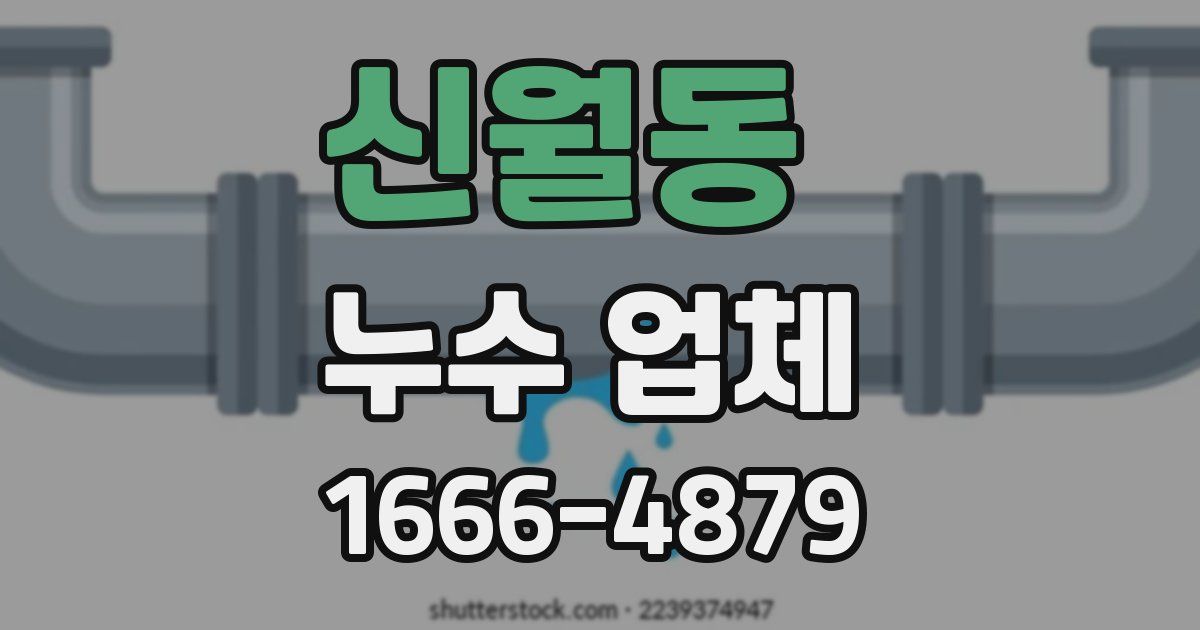 신월동 누수 업체