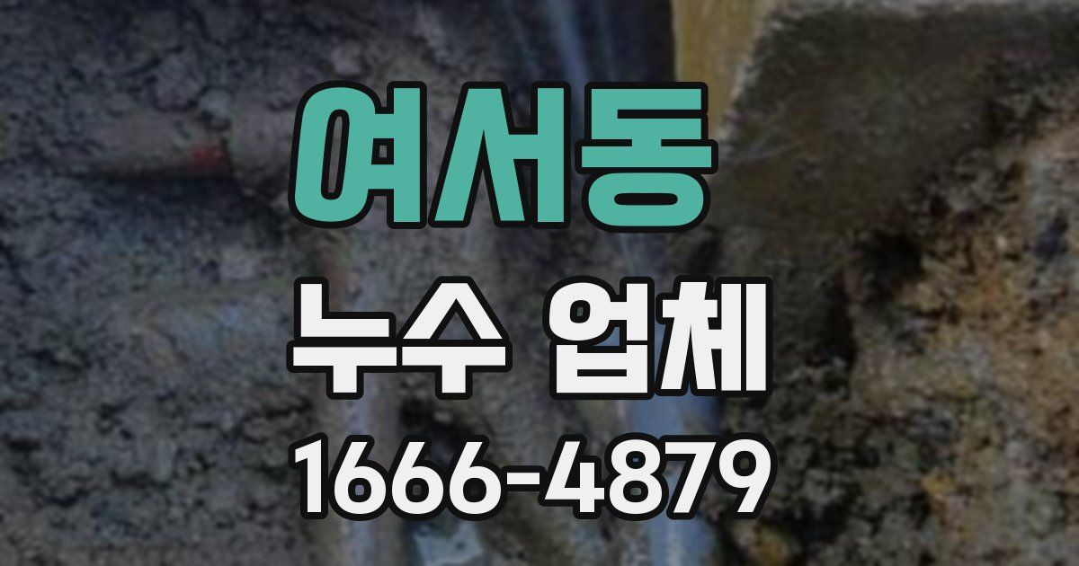 여서동 누수 업체