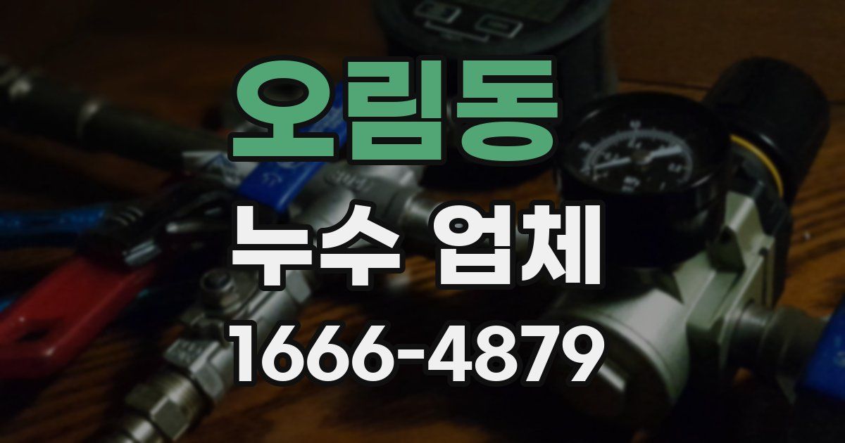 오림동 누수 업체