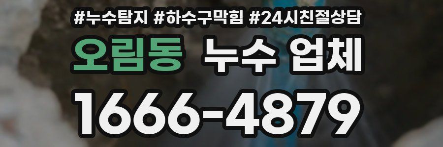 오림동 누수 업체